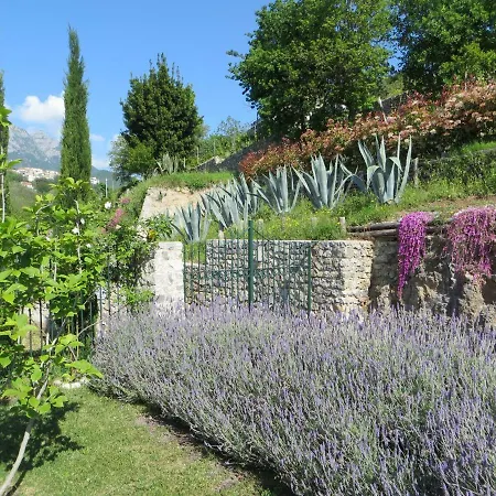 Ancient Estate 
