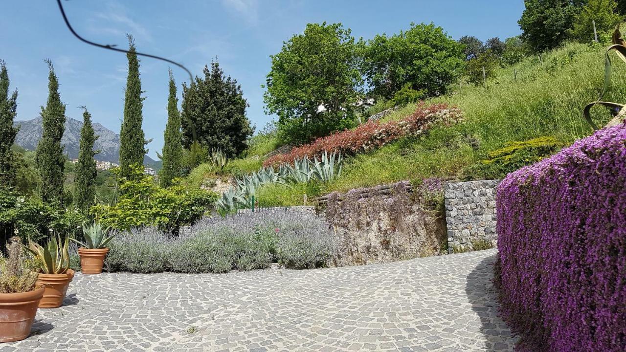 Villa Ancient Estate 