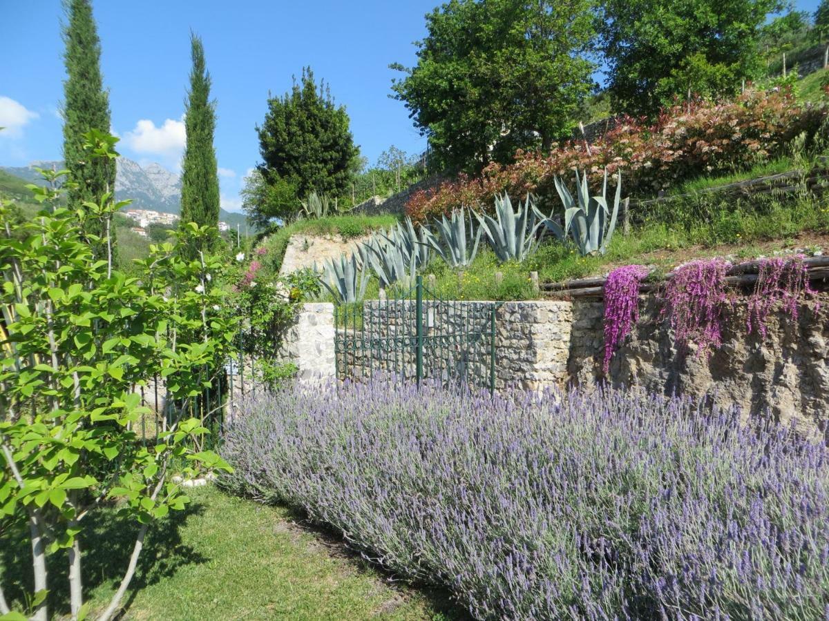 Ancient Estate 